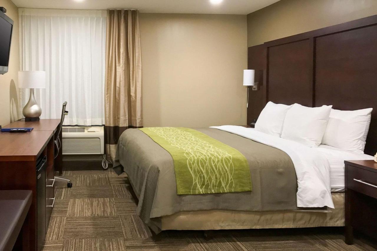 Giles Hotel Inn And Suites Pulaski Buitenkant foto